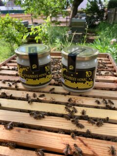 Unser Honiglager ist wieder mit Frühtrachthonig gefüllt.
#schlabees
#frühtrachthonig