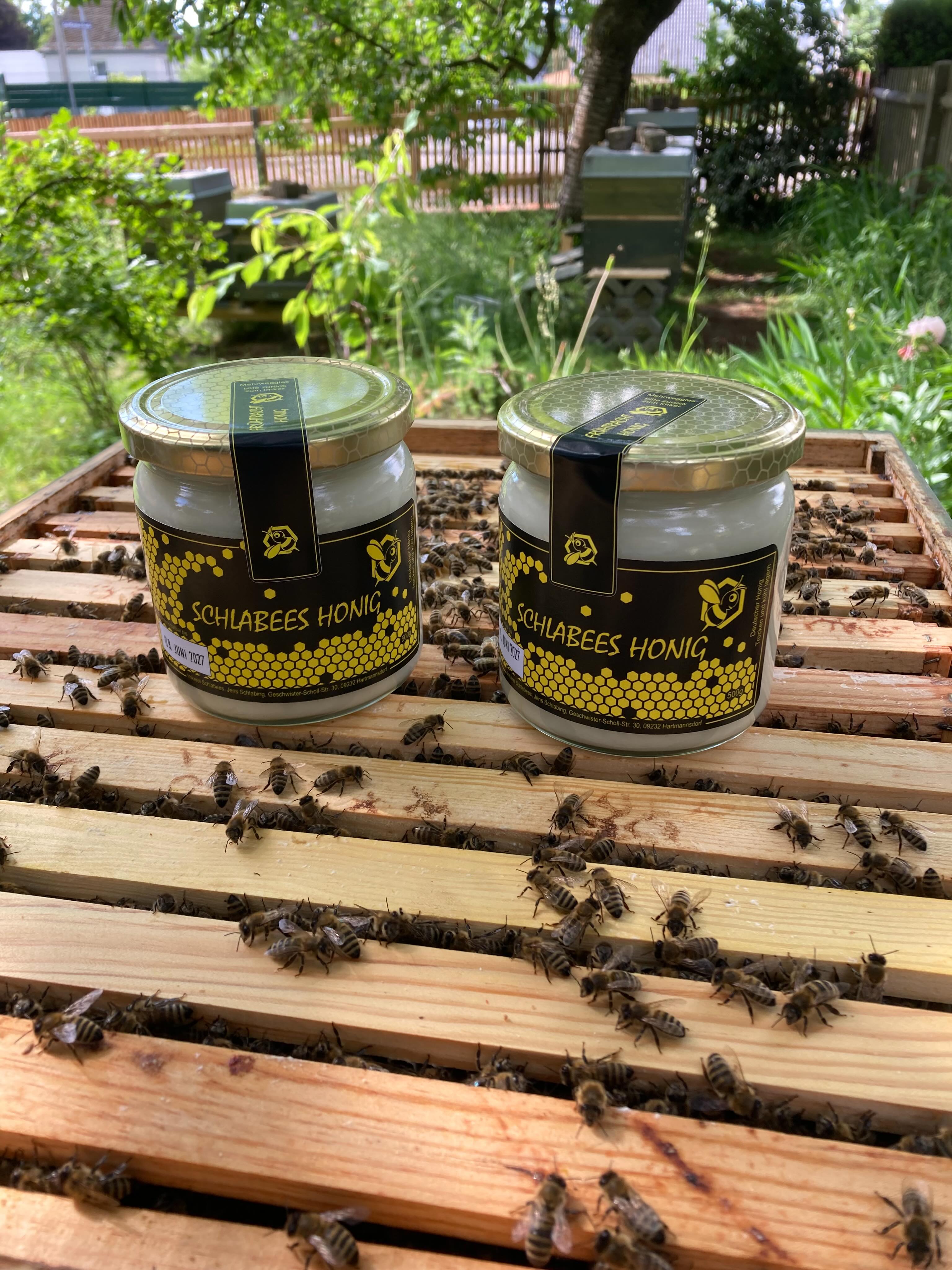 Unser Honiglager ist wieder mit Frühtrachthonig gefüllt.
#schlabees
#frühtrachthonig